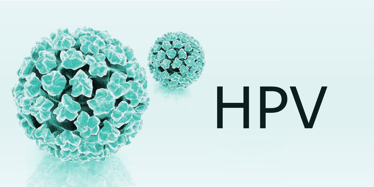 hpv导致宫颈癌的分子机理及预防性hpv疫苗对已感染hpv