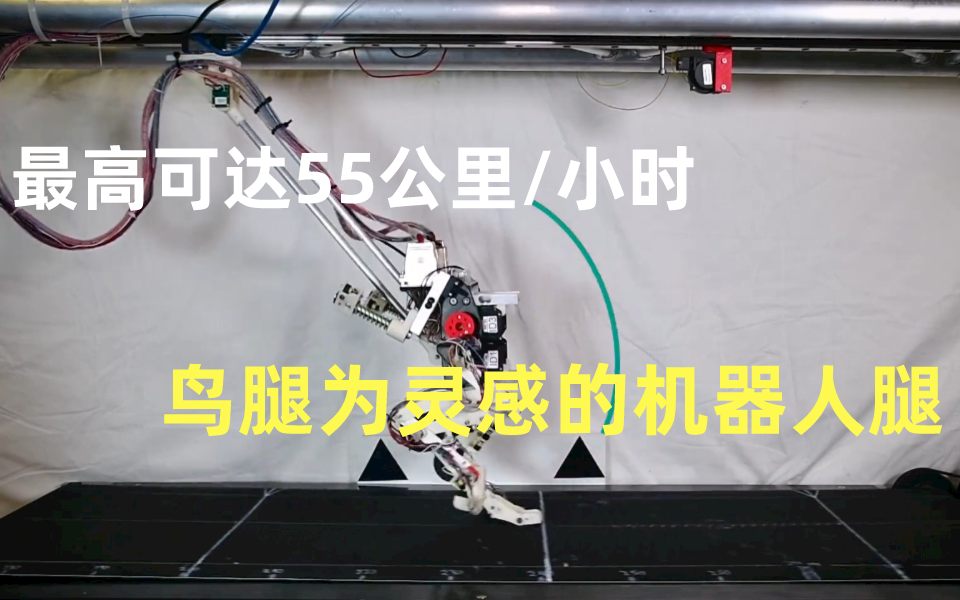 前沿加州大学最新成果类鸟机器人birdbot四分之一的能量可达55公里