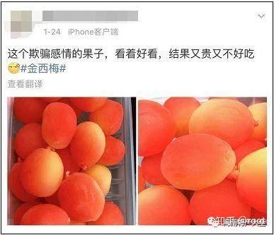 网红水果金西梅刷爆微博,这么漂亮的神果能吃吗