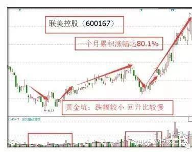 案例:金花股份(600080)