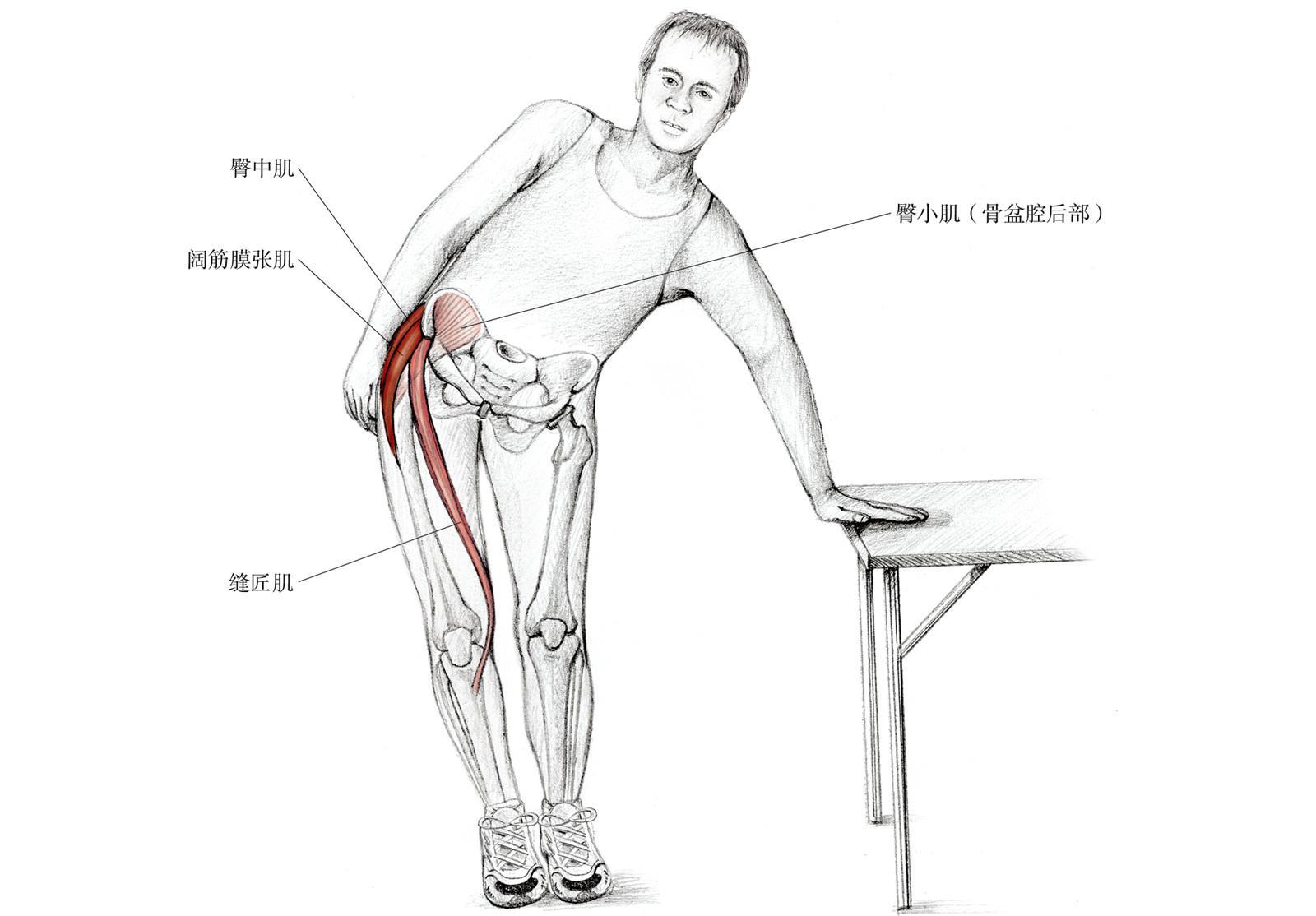 外展肌的拉筋操 11.