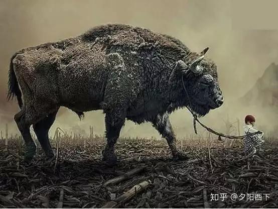 一张图片可以传达出什么深刻的意义?
