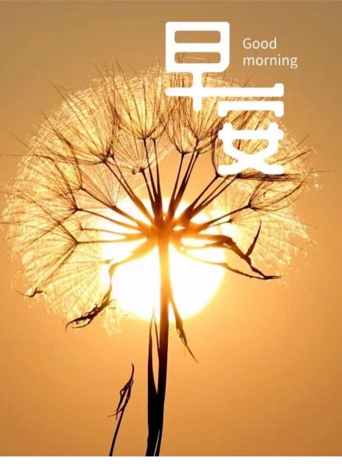 早安!