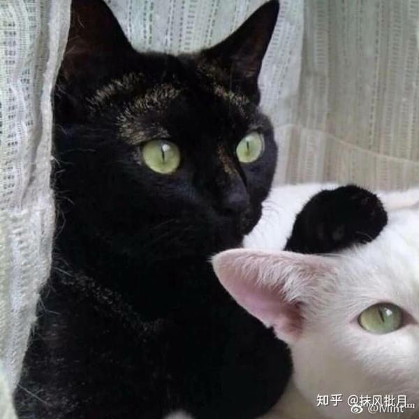求比较别致,不要太low的情侣头像,谢谢大家?