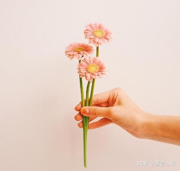 触动心灵的情感文案,句句经典,百看不厌!