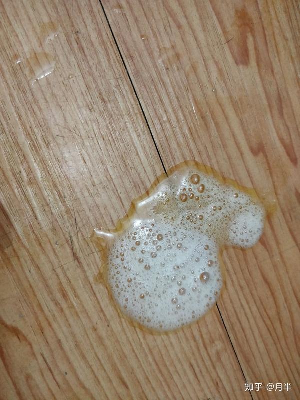 昨天晚上十点多都好好的,半夜12点就开始吐水,先是透明的,带点泡沫