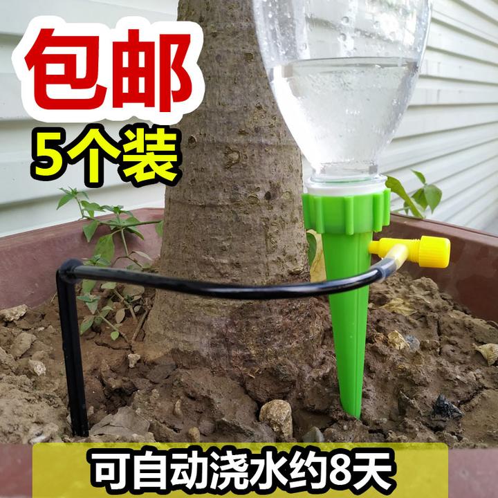 一个塑料瓶一根棉签,教你做自动浇水器,不用担心花草没人浇水了