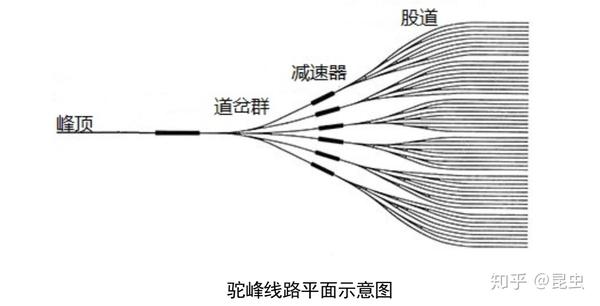 铁道知识驼峰与编组站