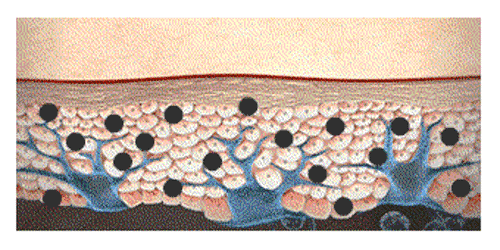 10年护肤女配方师告诉你30该用什么祛斑产品