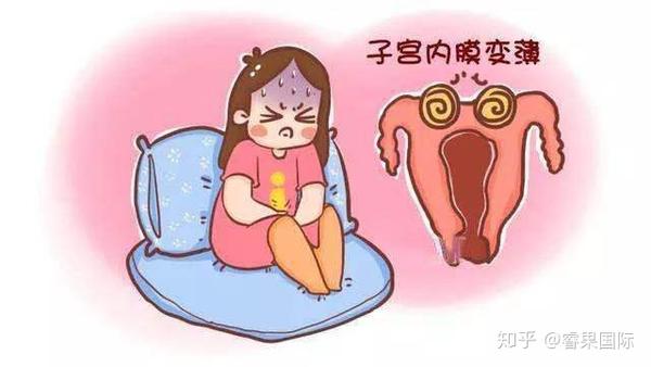子宫内膜厚度对泰国试管婴儿有多重要