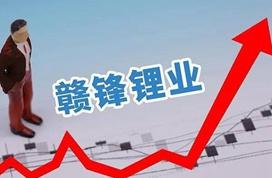 赣锋锂业毛利率止步三连跌,基金持股不足三成