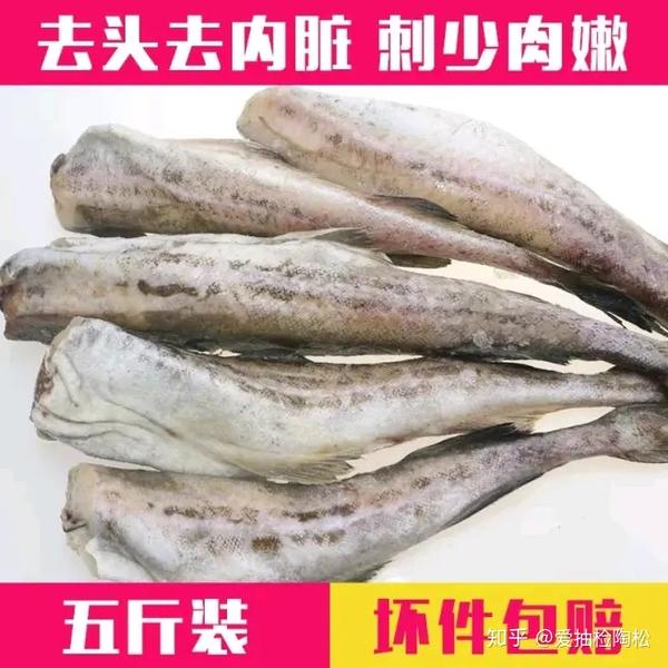 另外还有细鳞壮鳕(不属于真正鳕鱼),价格也在20~30/斤.