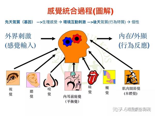 感统失调的孩子为什么越来越多 感觉统合中有两个重要的字—感觉