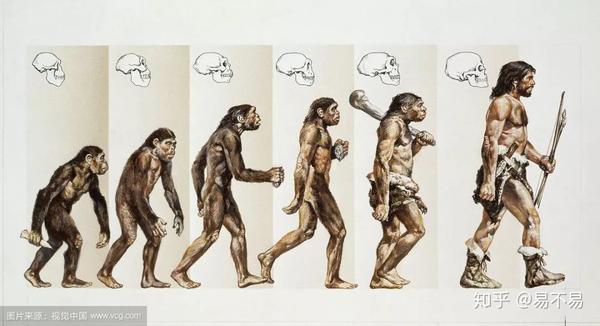 简明人类进化史