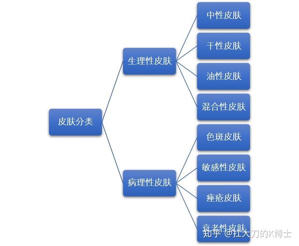 而病理性皮肤是针对常见皮肤问题的另一个维度的分类方式