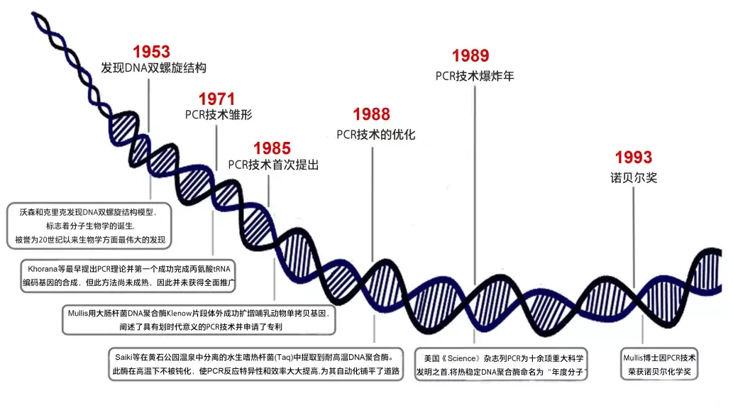 pcr技术发展史