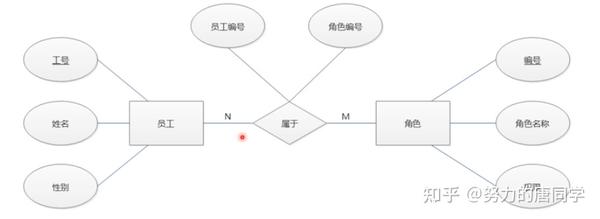 E R Entity Relationship Diagram