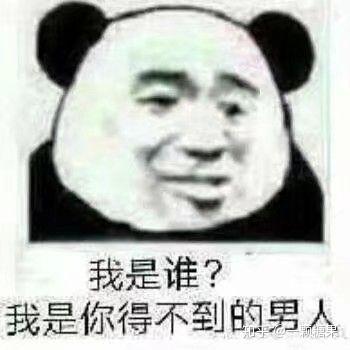 有哪些沙雕熊猫头表情包?