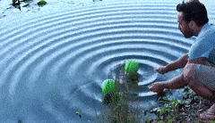 经络的本质电磁驻波形成的耗散结构