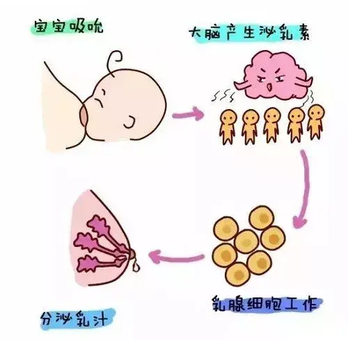母乳量高产的妈妈都做了些什么