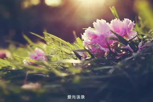 学会放手,你的幸福需要自己的成全.