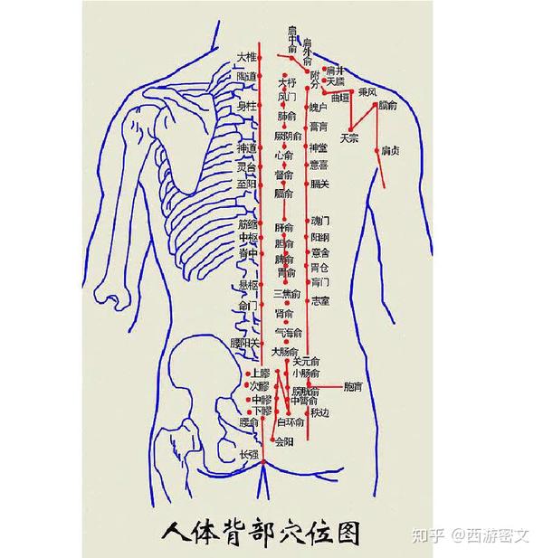 被击中后,冲击延髓中枢,晕迷不醒. 9,人迎穴 位置:喉结旁开1.