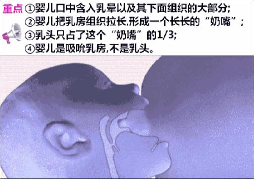 纠结什么哺乳姿势都不如做到这五个字