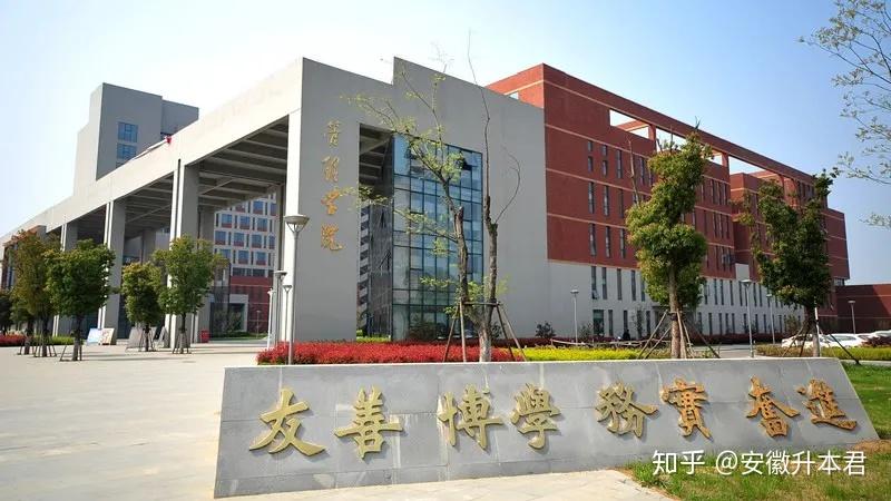 三本有 5所:安徽新华学院,安徽三联学院,安徽外国语学院,马鞍山学院