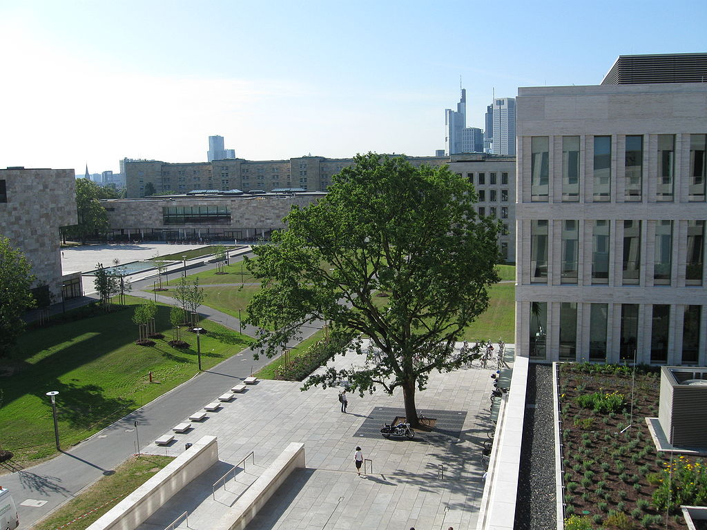 德国大学u15法兰克福大学