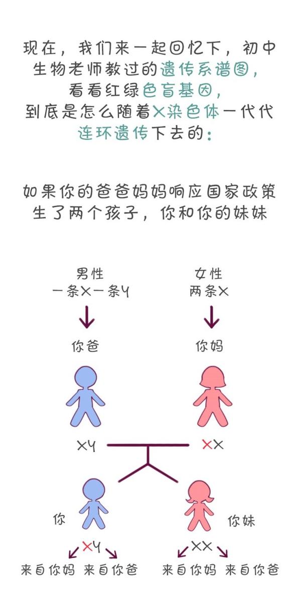 漫画| 色盲,传男不传女?
