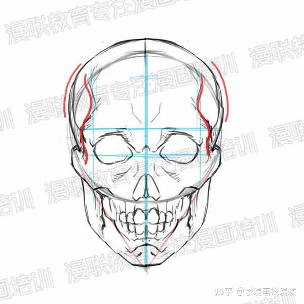 零基础绘画教程正脸和侧脸的超详细画法讲解