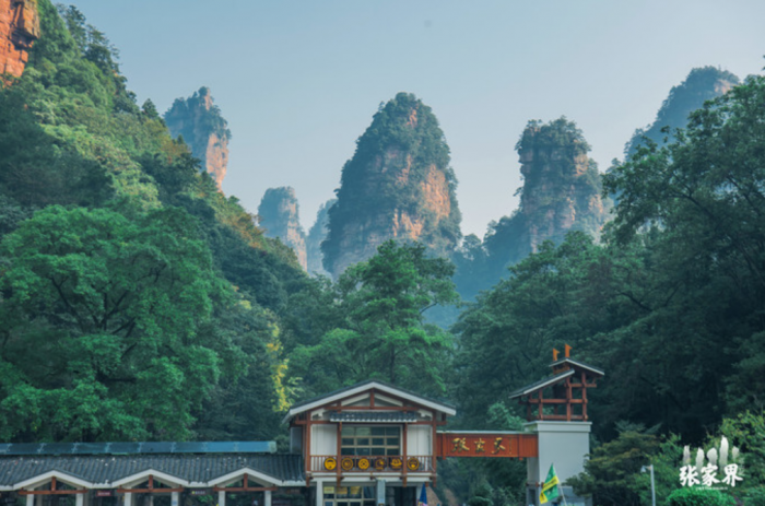 而来张家界旅游的朋友100%会选择的张家界四大核心景点有:张家界国家