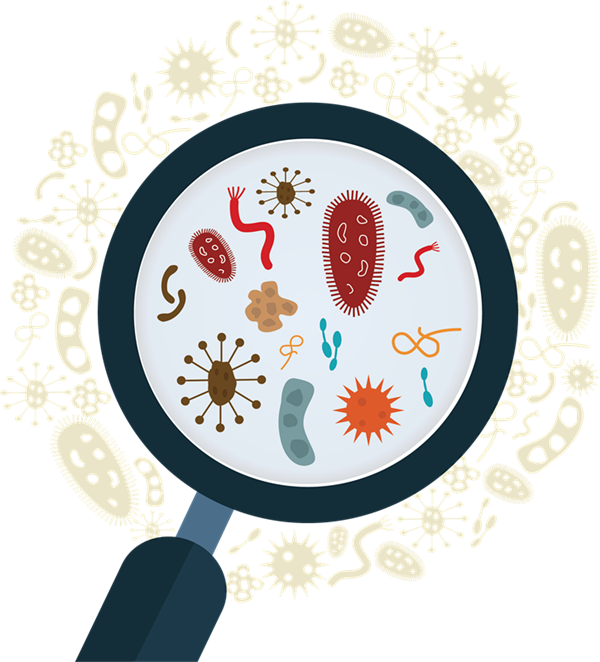 微生物代谢物和群体感应的相关研究