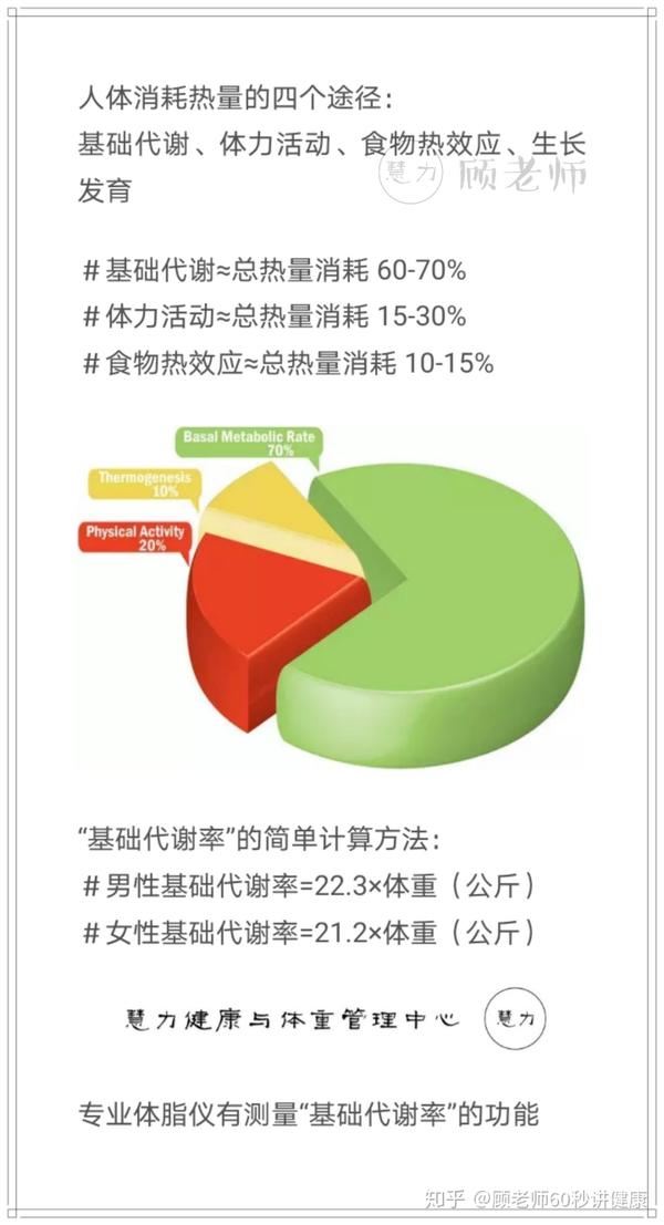 只有提高基础代谢才能瘦成正果