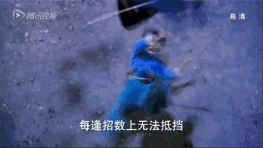 兢兢业业 敬业程度差点把自己都感动哭 这一年你是不是也一路开挂