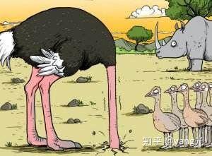 三,解套方法 常见的几种解套方法 1,鸵鸟战术—消极被动等待 鸵鸟
