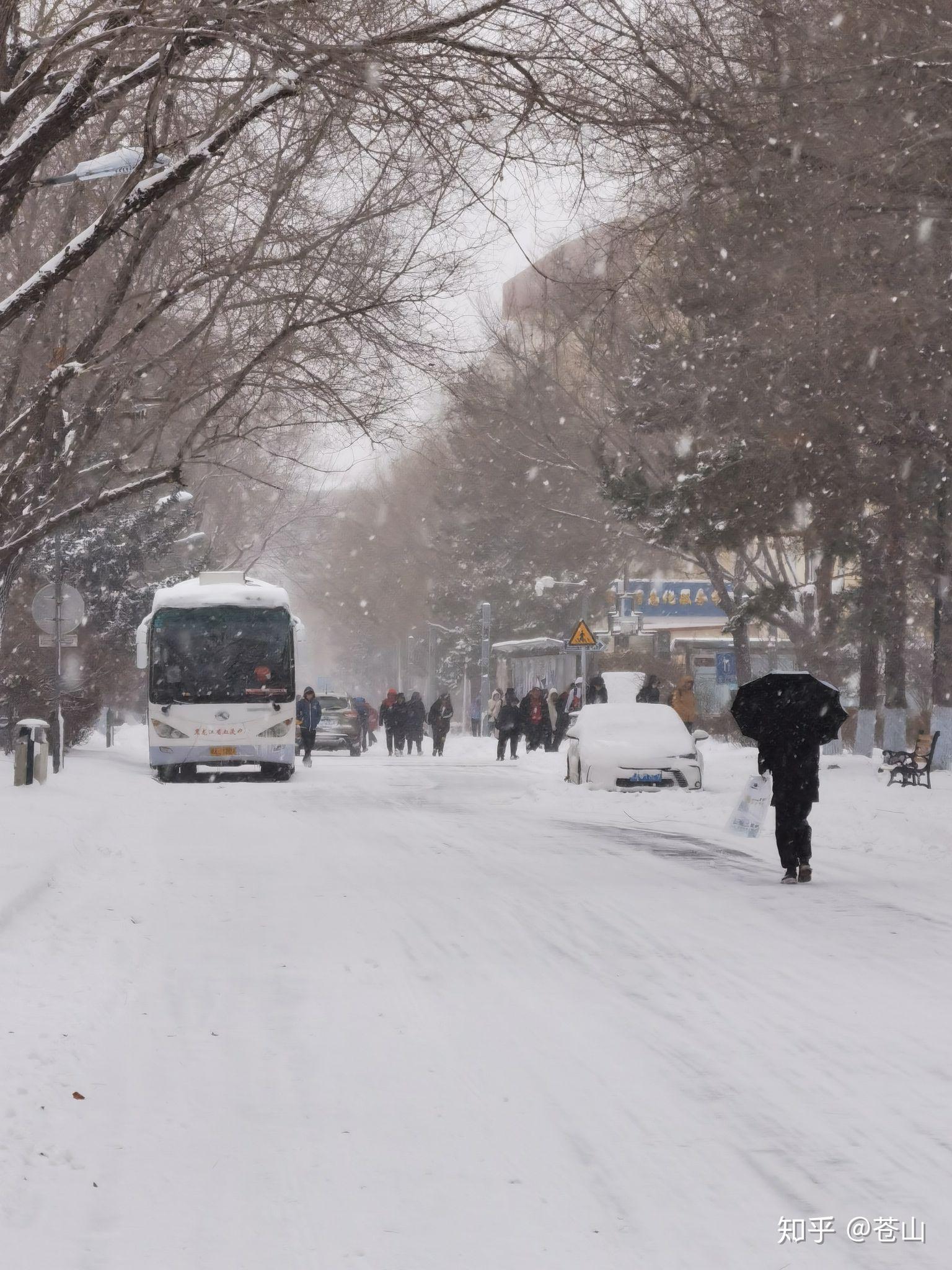 哈尔滨现在下雪了吗