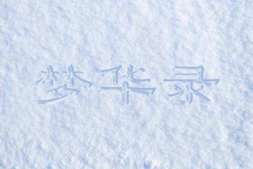 ps教你怎么三步在雪地背景上写出手写雪字