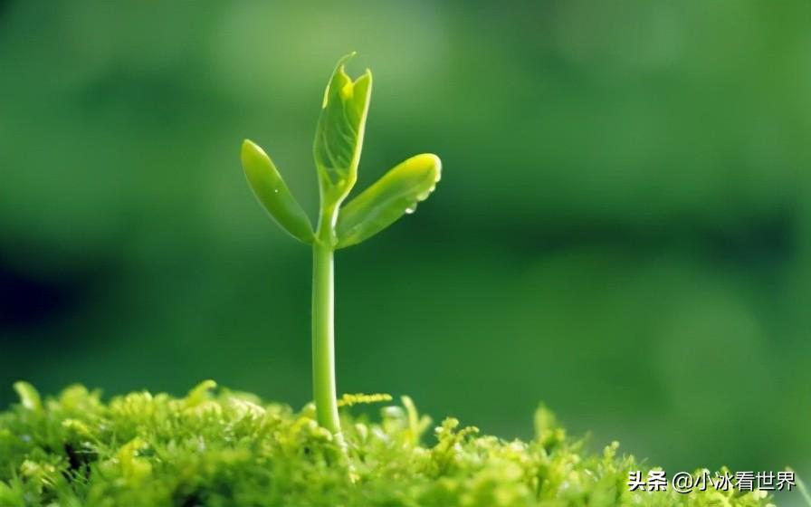 万物复苏的春日怎样与健康同行