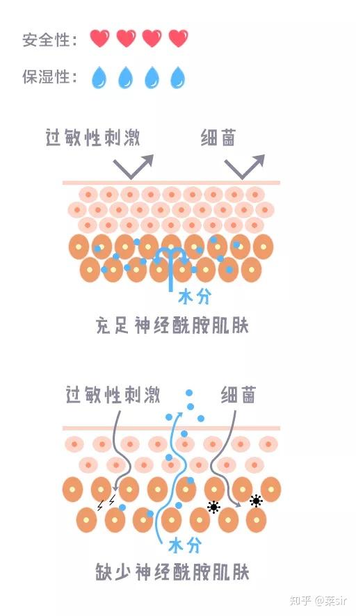 成分表中神经酰胺名字如下: 神经酰胺1 = 神经酰胺eos 神经酰胺2 =