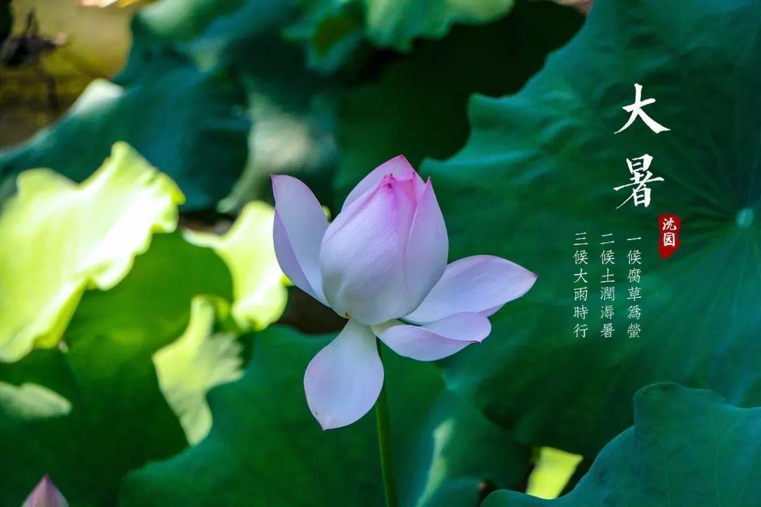 大暑时节这六个有趣的活动带孩子一起感受盛夏的美好