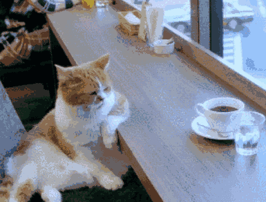 385_292gif 动态图 动图