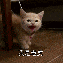 有什么适用于和老公/男票撒娇的可爱表情包?