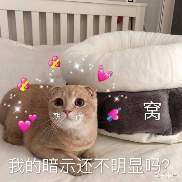 有哪些适合情侣之间的表情包?