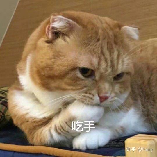 我特别喜欢胖嘟嘟小女孩的表情,感觉脸圆圆的,超级可爱(我才不幼稚