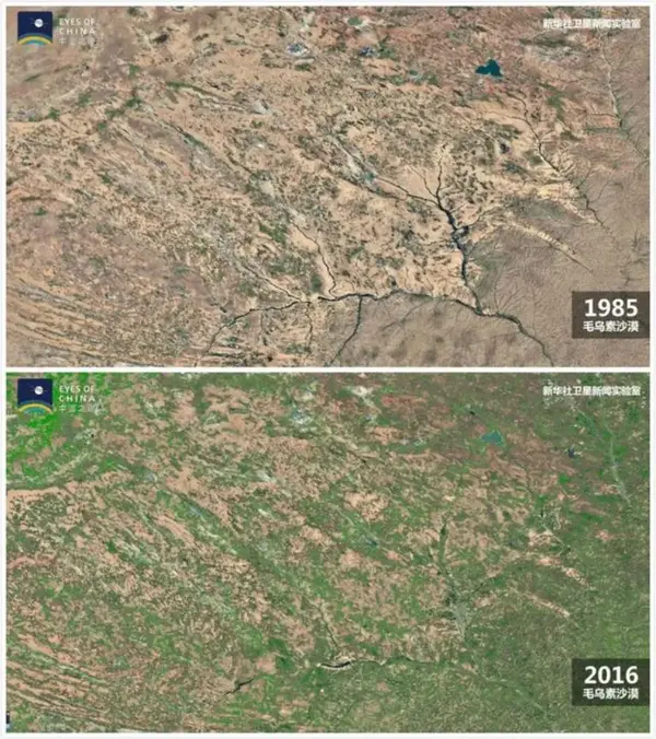 中国毛乌素沙漠1985年和2016年的卫星对比图.