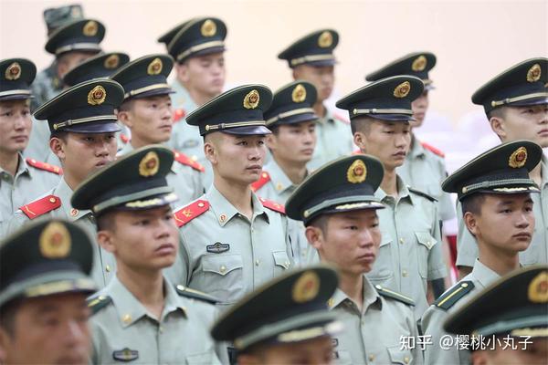 2021年士官提前批次高考志愿填报(附官方权威报考指南