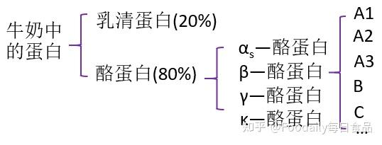 01 a2蛋白,让我们重新认识牛奶 a2牛奶这一概念诞生于20年前,进入