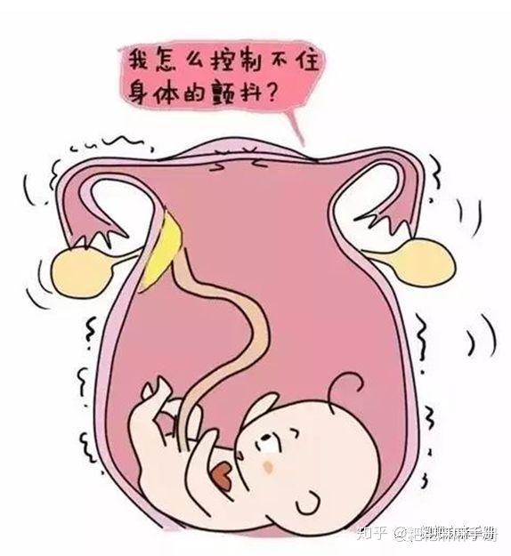 怀孕后妈妈的身体发生的变化看完感动哭了