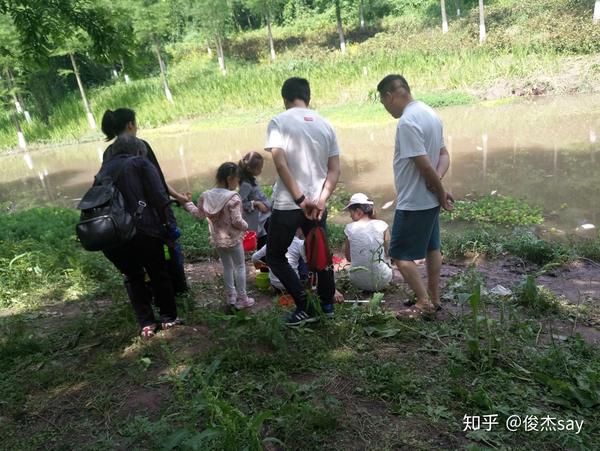 小朋友河边抓鱼的场景大人围观